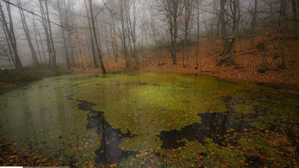 آخرین نفسهای پاییز در مازندران آخرین نفسهای پاییز در مازندران