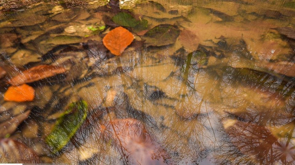 آخرین نفسهای پاییز در مازندران آخرین نفسهای پاییز در مازندران