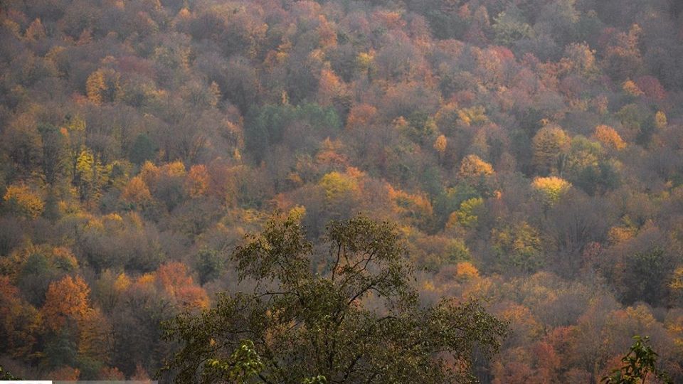 آخرین نفسهای پاییز در مازندران آخرین نفسهای پاییز در مازندران