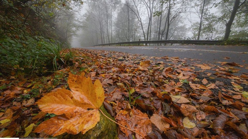 آخرین نفسهای پاییز در مازندران آخرین نفسهای پاییز در مازندران