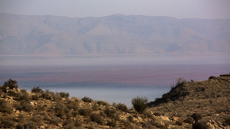 روز جهانی تالابها روز جهانی تالابها