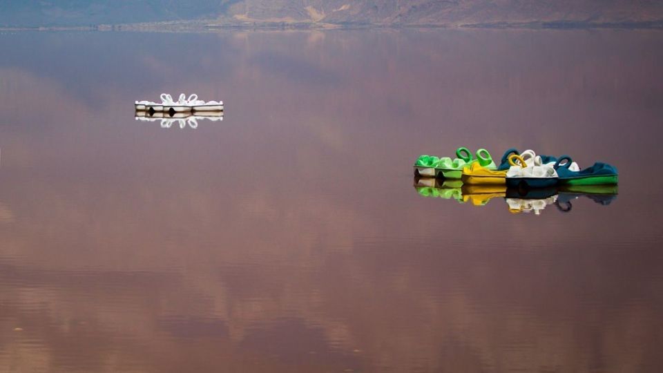 روز جهانی تالابها روز جهانی تالابها