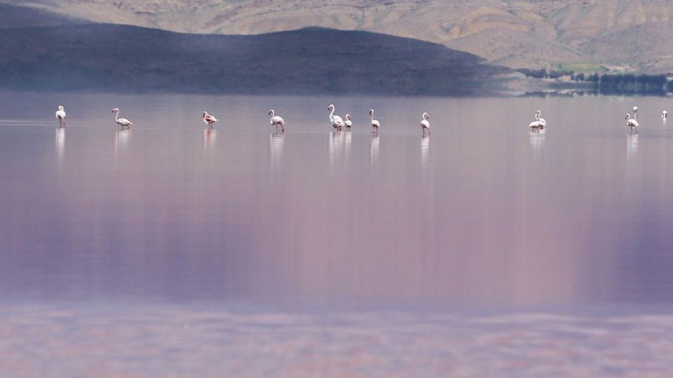 روز جهانی تالابها روز جهانی تالابها