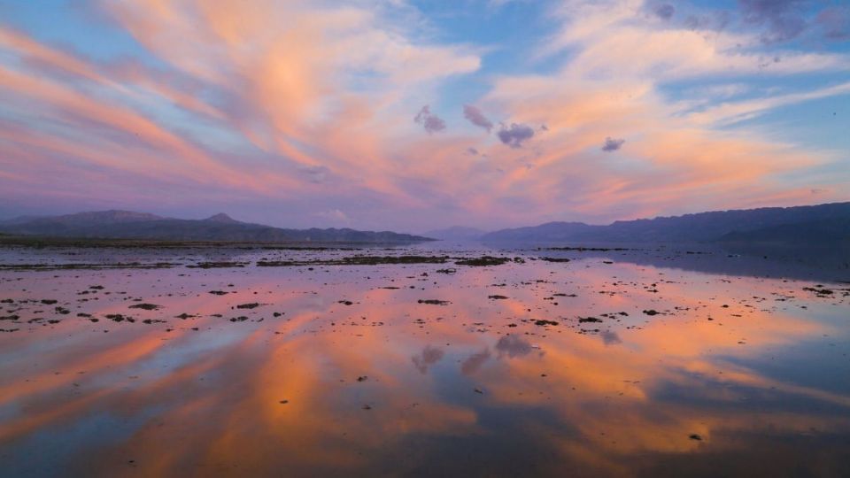 روز جهانی تالابها روز جهانی تالابها