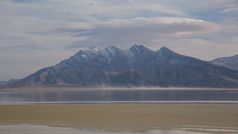 روز جهانی تالابها روز جهانی تالابها