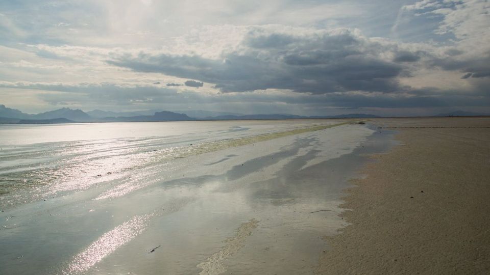 روز جهانی تالابها روز جهانی تالابها