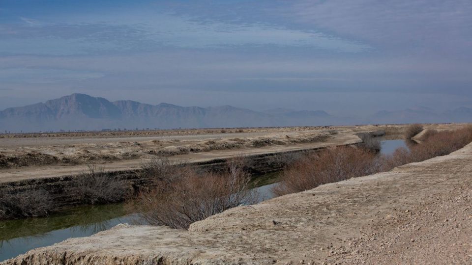 روز جهانی تالابها روز جهانی تالابها