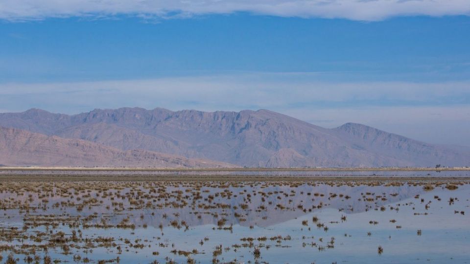 روز جهانی تالابها روز جهانی تالابها