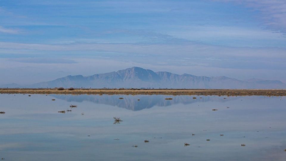 روز جهانی تالابها روز جهانی تالابها