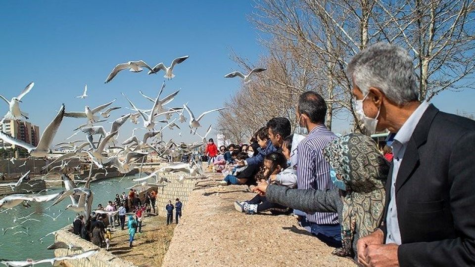 میهمانان ناخوانده زمستان شیراز میهمانان ناخوانده زمستان شیراز