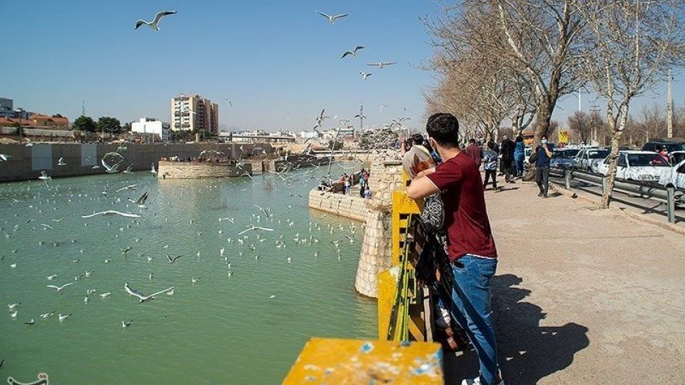 میهمانان ناخوانده زمستان شیراز میهمانان ناخوانده زمستان شیراز