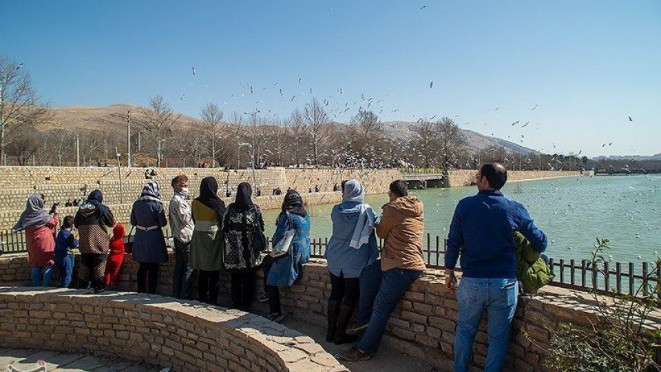 میهمانان ناخوانده زمستان شیراز میهمانان ناخوانده زمستان شیراز