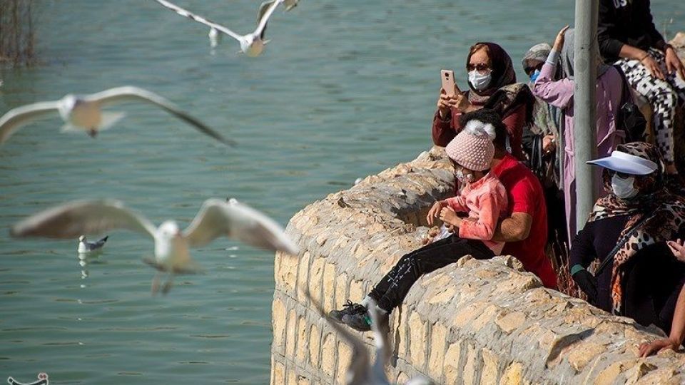 میهمانان ناخوانده زمستان شیراز میهمانان ناخوانده زمستان شیراز