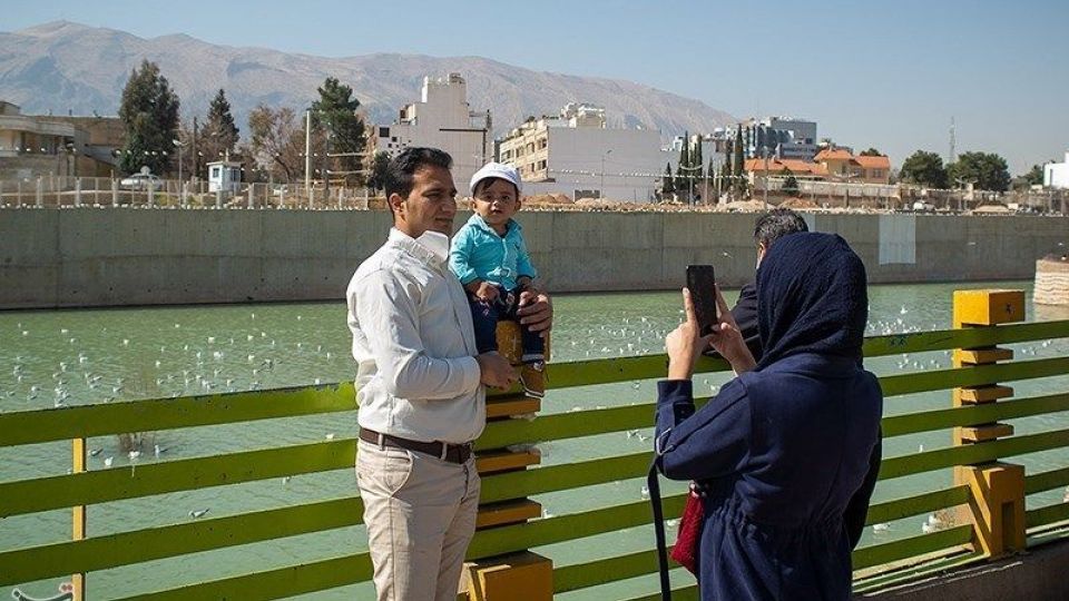 میهمانان ناخوانده زمستان شیراز میهمانان ناخوانده زمستان شیراز