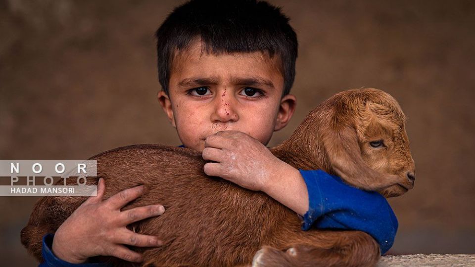 زندگی سخت این زنان قوم لُر زندگی سخت این زنان قوم لُر