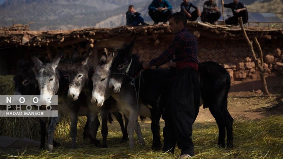 زندگی سخت این زنان قوم لُر زندگی سخت این زنان قوم لُر