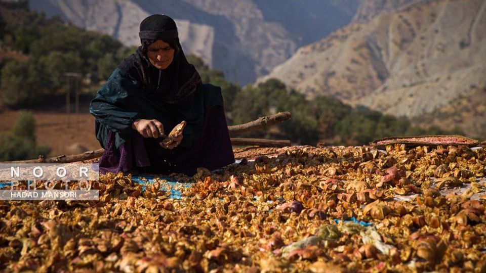 زندگی سخت این زنان قوم لُر زندگی سخت این زنان قوم لُر