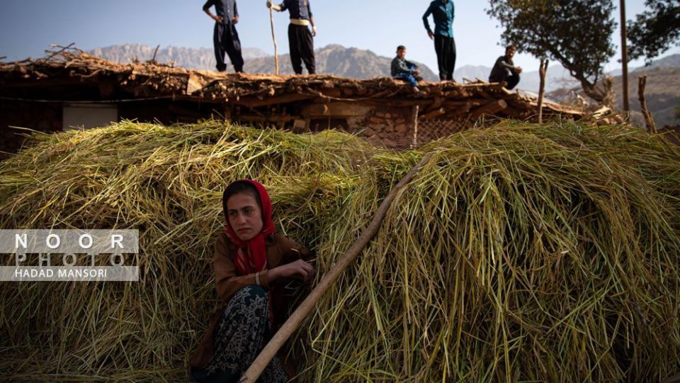 زندگی سخت این زنان قوم لُر زندگی سخت این زنان قوم لُر