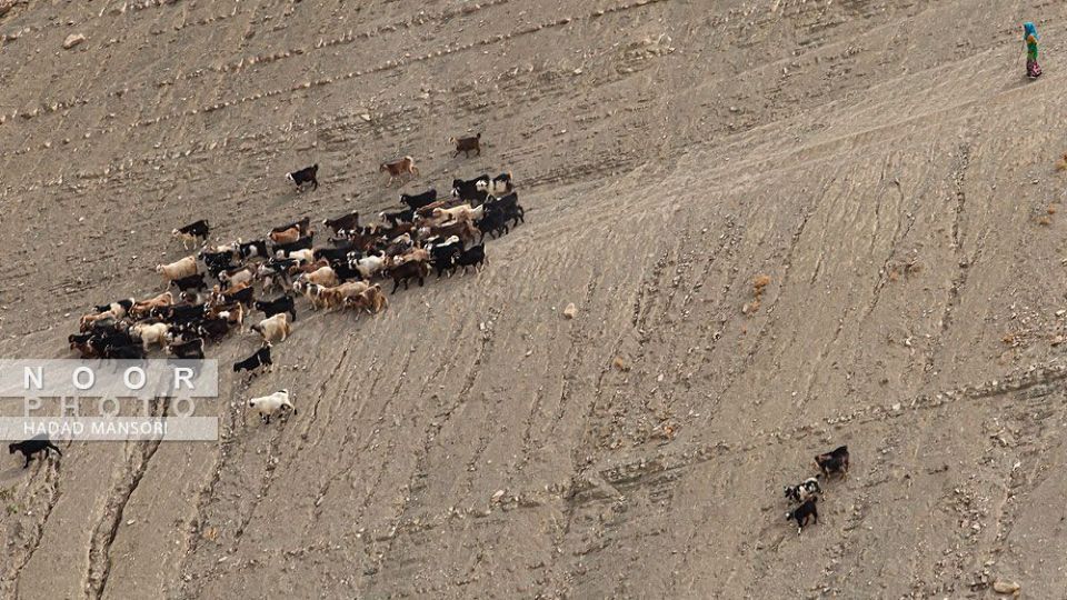 زندگی سخت این زنان قوم لُر زندگی سخت این زنان قوم لُر