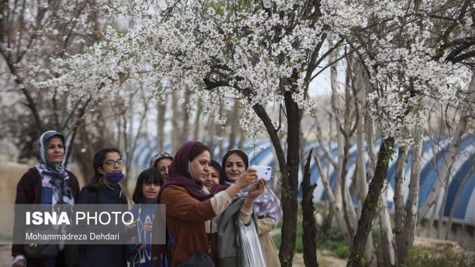 شکفتن بهار در انتهای سال کرونایی شکفتن بهار در انتهای سال کرونایی