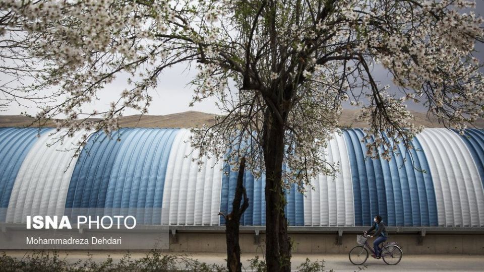 شکفتن بهار در انتهای سال کرونایی شکفتن بهار در انتهای سال کرونایی