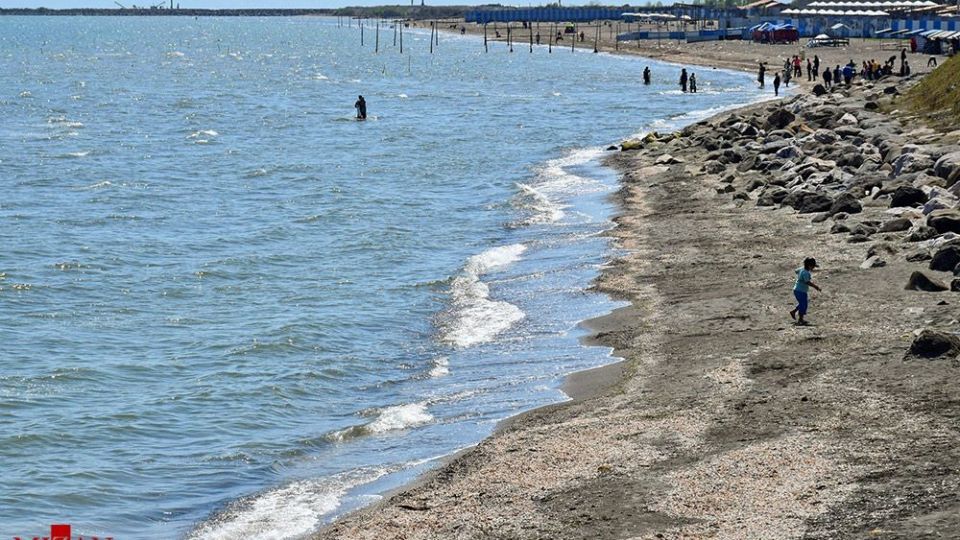 صدفهای خزری نیازمند حفاظت صدفهای خزری نیازمند حفاظت