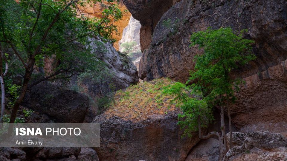 دره بینظیر «شیرز» دره بینظیر «شیرز»