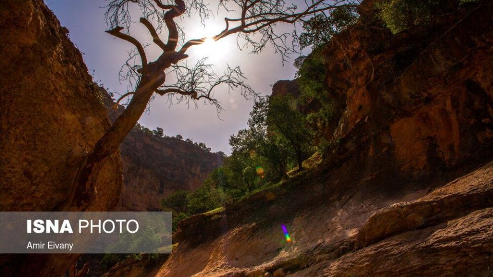 دره بینظیر «شیرز» دره بینظیر «شیرز»