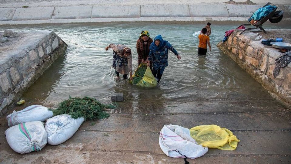 فرار از گرمای تابستان بوشهر فرار از گرمای تابستان بوشهر