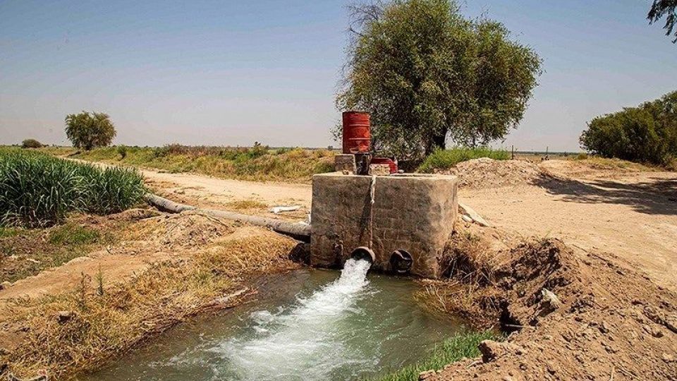 تشنگی مزارع نیشکر هفت تپه تشنگی مزارع نیشکر هفت تپه