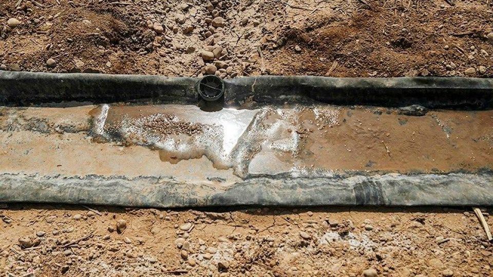 تشنگی مزارع نیشکر هفت تپه تشنگی مزارع نیشکر هفت تپه