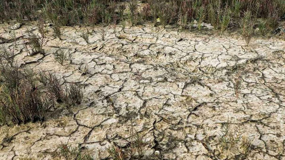 «خلیج گرگان» در جدال با خشکسالی «خلیج گرگان» در جدال با خشکسالی