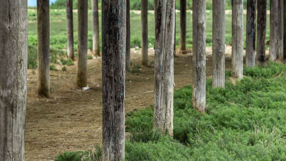 «خلیج گرگان» در جدال با خشکسالی «خلیج گرگان» در جدال با خشکسالی