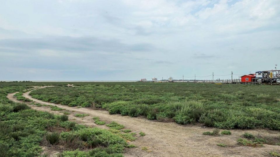 «خلیج گرگان» در جدال با خشکسالی «خلیج گرگان» در جدال با خشکسالی