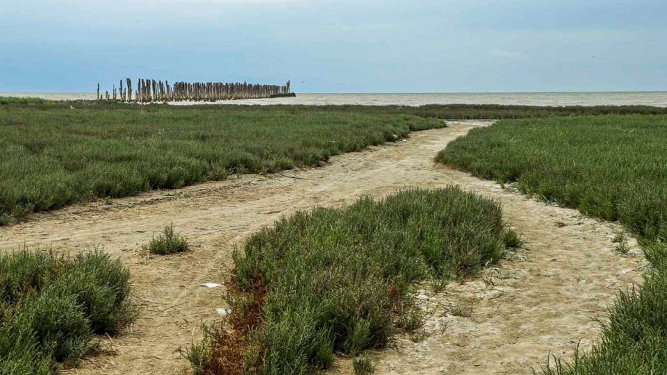 «خلیج گرگان» در جدال با خشکسالی «خلیج گرگان» در جدال با خشکسالی