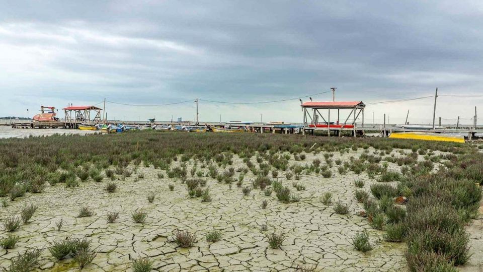 «خلیج گرگان» در جدال با خشکسالی «خلیج گرگان» در جدال با خشکسالی