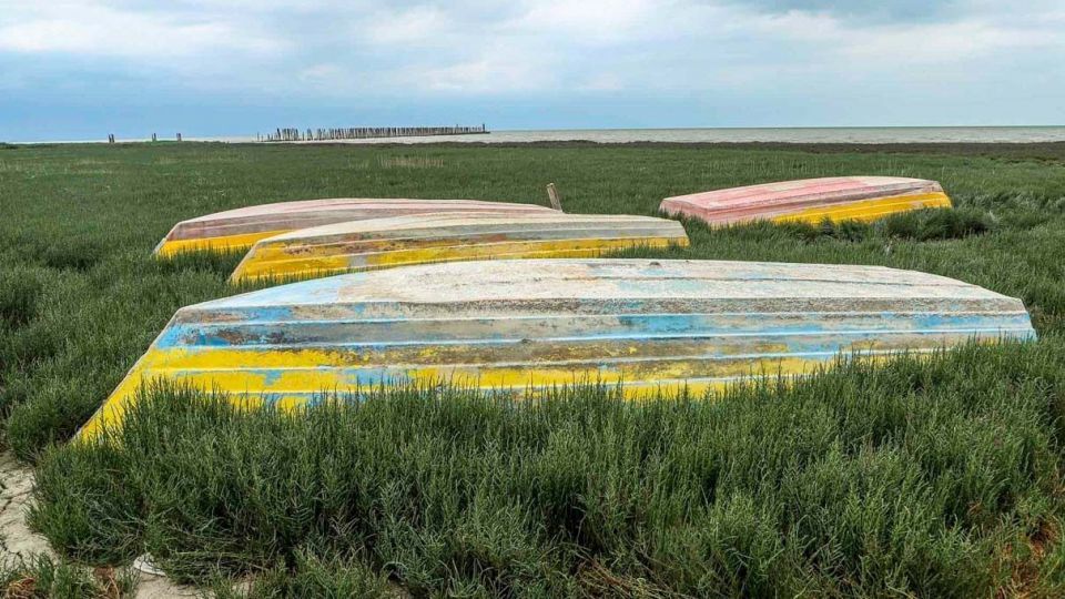 «خلیج گرگان» در جدال با خشکسالی «خلیج گرگان» در جدال با خشکسالی