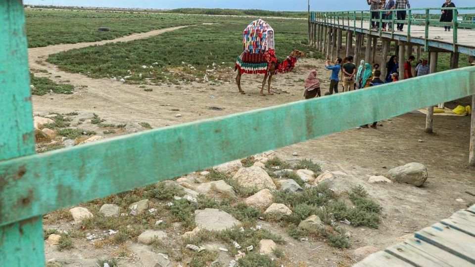 «خلیج گرگان» در جدال با خشکسالی «خلیج گرگان» در جدال با خشکسالی