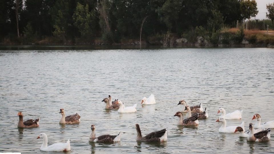 زیباییهای تالاب گلمرز ارومیه زیباییهای تالاب گلمرز ارومیه