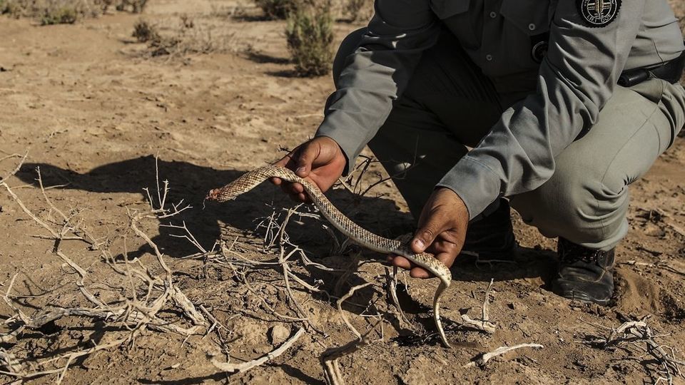 تخریب کوخههای هورالعظیم توسط محیطبانان - خوزستان تخریب کوخههای هورالعظیم توسط محیطبانان - خوزستان