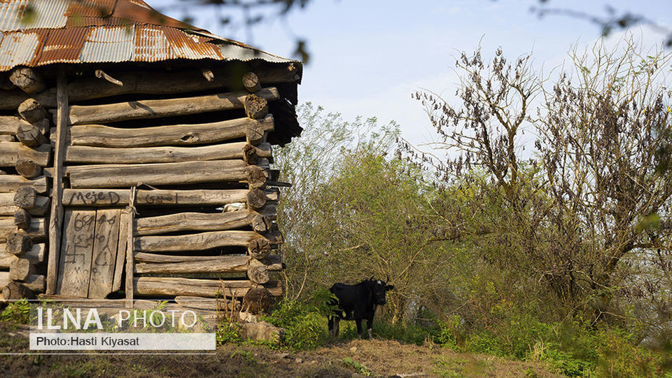 هفت آبشار تیرکن هفت آبشار تیرکن