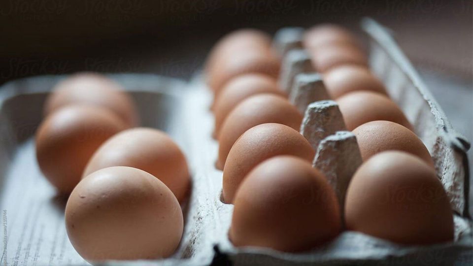 سفره مرغ‌ها از ارز 4200 خالی شد