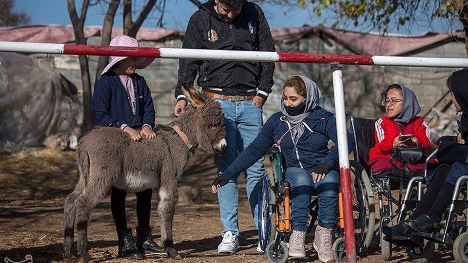باشگاه اسب سواری معلولان باشگاه اسب سواری معلولان