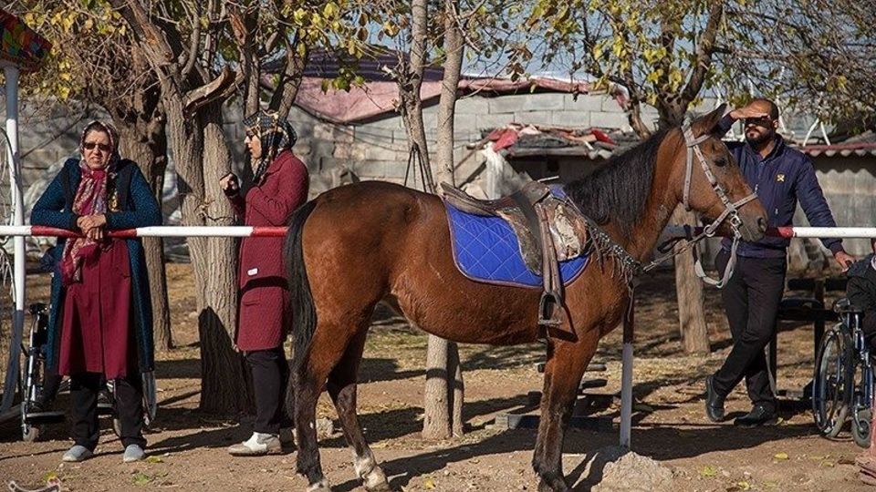 باشگاه اسب سواری معلولان باشگاه اسب سواری معلولان