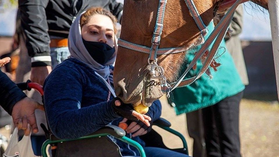 باشگاه اسب سواری معلولان باشگاه اسب سواری معلولان