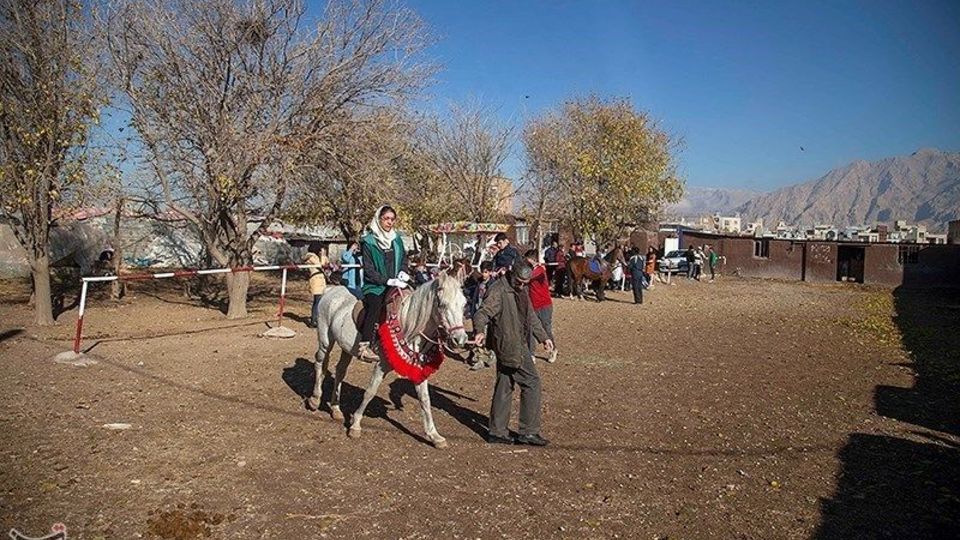 باشگاه اسب سواری معلولان باشگاه اسب سواری معلولان
