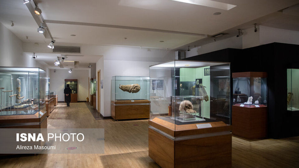 نمایش دستاوردهای معدنکاوی ایران و آلمان در موزه ملی نمایش دستاوردهای معدنکاوی ایران و آلمان در موزه ملی