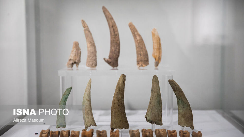 نمایش دستاوردهای معدنکاوی ایران و آلمان در موزه ملی نمایش دستاوردهای معدنکاوی ایران و آلمان در موزه ملی