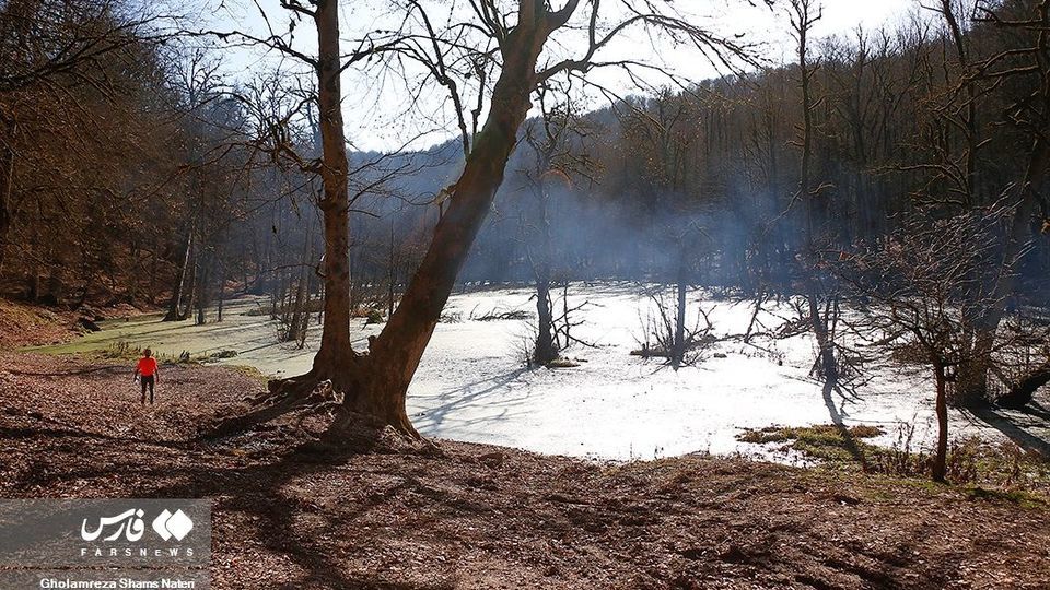 «دَرْيوک» مردابی در كلاردشت «دَرْيوک» مردابی در كلاردشت