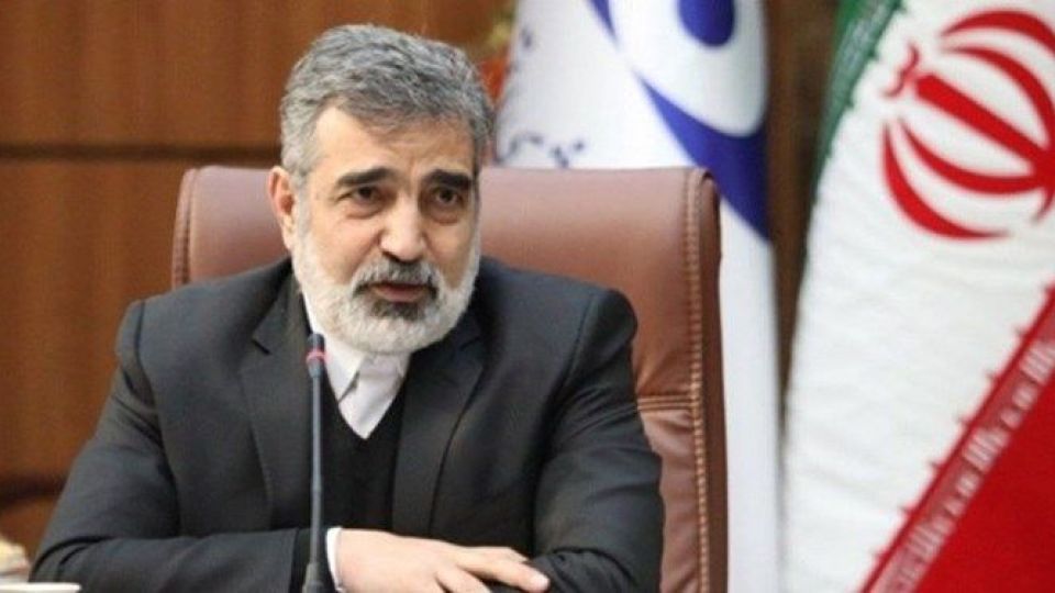 کمالوندی: همکاری ایران و روسیه برای احداث واحدهای 2 و 3 نیروگاه بوشهر در جریان است